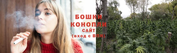 молекула духа Нягань