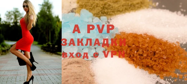 амф Новозыбков