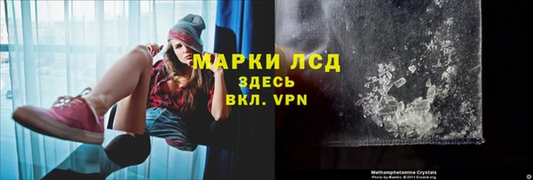 амф Новозыбков