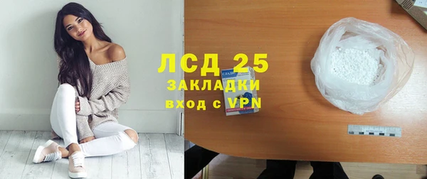 амф Новозыбков