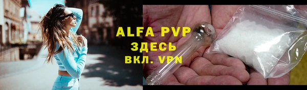 амф Новозыбков