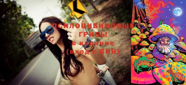 mdma Новодвинск