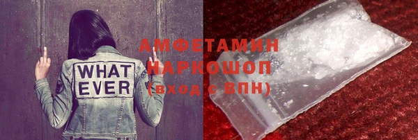 амф Новозыбков