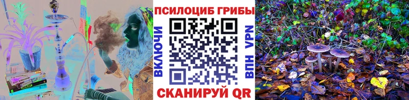 Псилоцибиновые грибы GOLDEN TEACHER  купить наркоту  блэк спрут ONION  Пыталово 